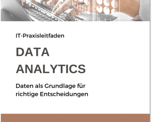 IT-Praxisleitfaden Data Analytics