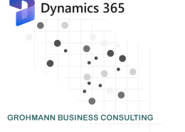 Einsatz von Microsoft Dynamics